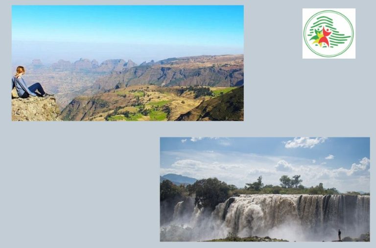 Business Travel Essentials: Ethiopian Tours for Professionals Business Travel Essentials: Ethiopian Tours for Professionals