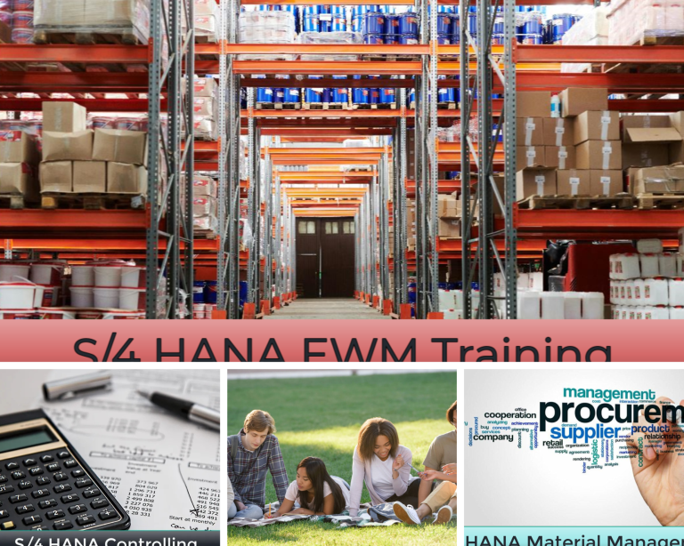 Efficient Sales and Distribution: A Practical Guide