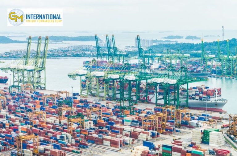 Navigating Global Trade: Practical Insights for Freight Logistics Navigating Global Trade: Practical Insights for Freight Logistics