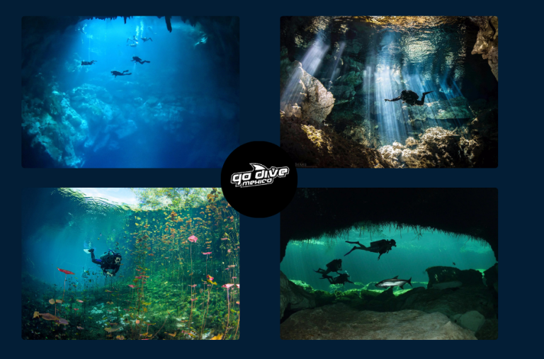 Explore cenotes and underwater wonders in Tulum Explore cenotes and underwater wonders in Tulum