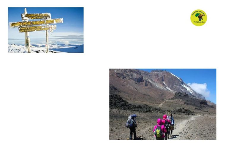 Tailored Tanzania safaris for unforgettable adventures Tailored Tanzania safaris for unforgettable adventures