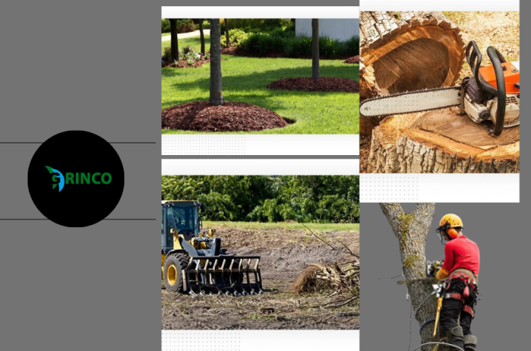 Professional Tree Removal Altona Services for Safe and Efficient Land Clearing Professional Tree Removal Altona Services for Safe and Efficient Land Clearing