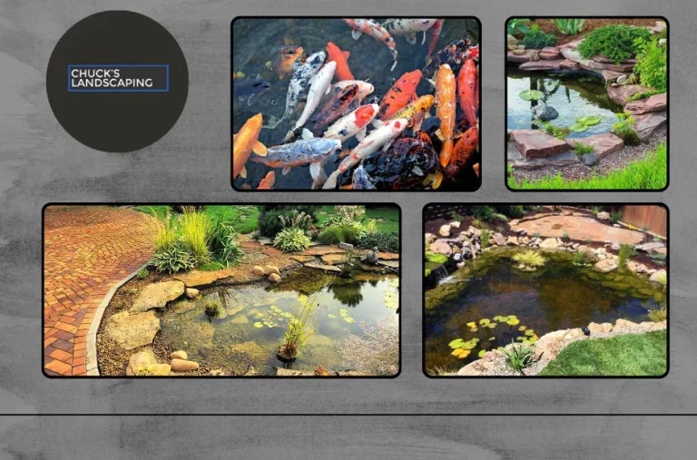 Transform Your Yard with Expert Custom Pond Installation Service LA for Stunning Outdoor Spaces