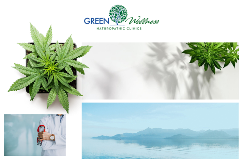 How to Get a Medical Marijuana Card in Seattle: Easy Steps and Benefits