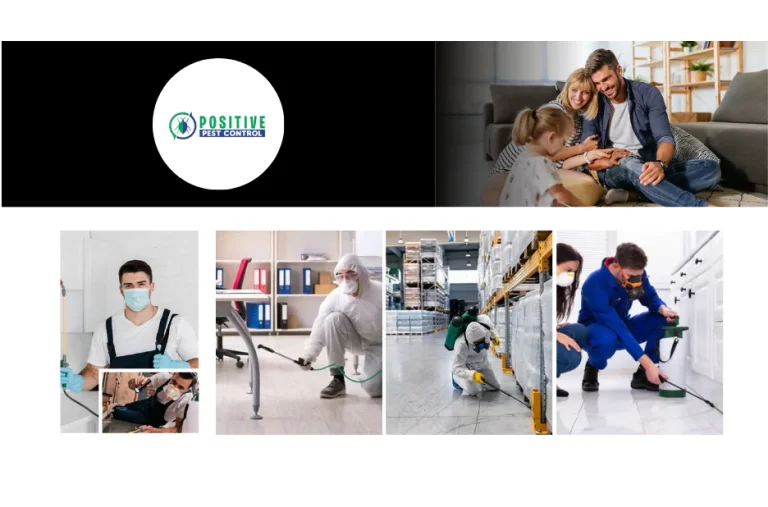 Professional Bed Bug Exterminator Services for Effective and Affordable Pest Control Professional Bed Bug Exterminator Services for Effective and Affordable Pest Control