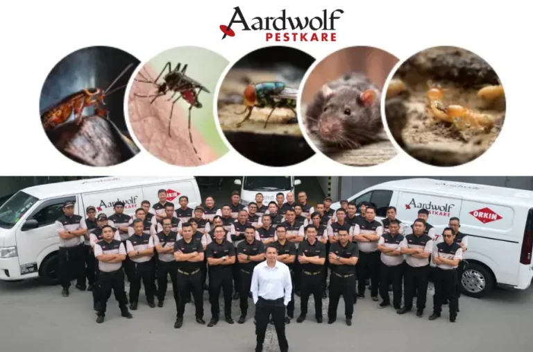 Effective Pest Control Singapore Cockroach Solutions for Safe and Hygienic Homes