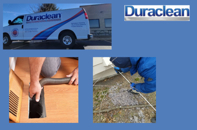Professional Carpet Cleaning Rockford Services for Healthier, Fresher Carpets Professional Carpet Cleaning Rockford Services for Healthier, Fresher Carpets