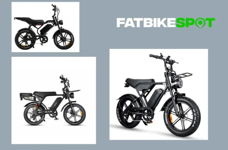 Fatbike Webshop Nederland – Topkwaliteit Fatbikes en Accessoires bij Fatbikespot.nl