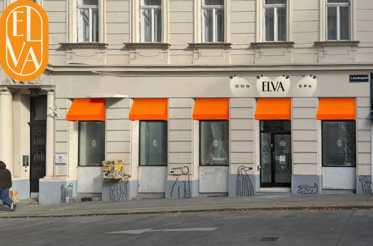 Hand Stripping Wien – Professionelle Fellpflege für Ihren Hund bei Elva-dog.at