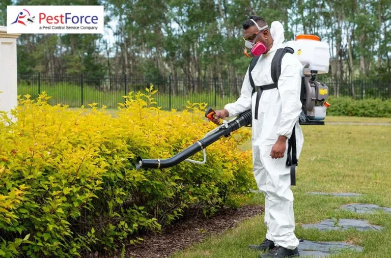 Effective Seasonal Pests Treatment Solutions to Protect Your Home Year-Round