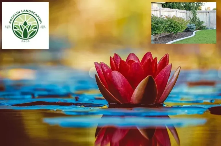 Expert Landscapers Rocklin | Transform Your Outdoor Space with RocklinLandscapingPros.com