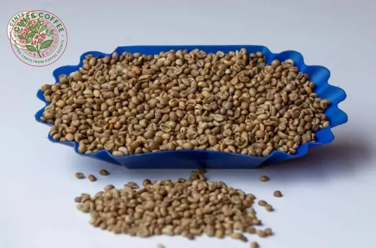 Green Coffee Beans Screen 18 Grade for Premium Roasting Quality and Consistency Green Coffee Beans Screen 18 Grade for Premium Roasting Quality and Consistency