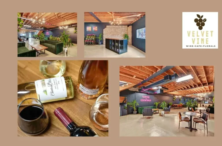 Velvetvinewine – Curated Wine Selections and Tasting Inspiration for Enthusiasts Velvetvinewine – Curated Wine Selections and Tasting Inspiration for Enthusiasts