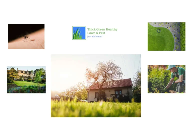 Effective Customized Lawn Fertilization Plans for a Healthier, Greener Lawn