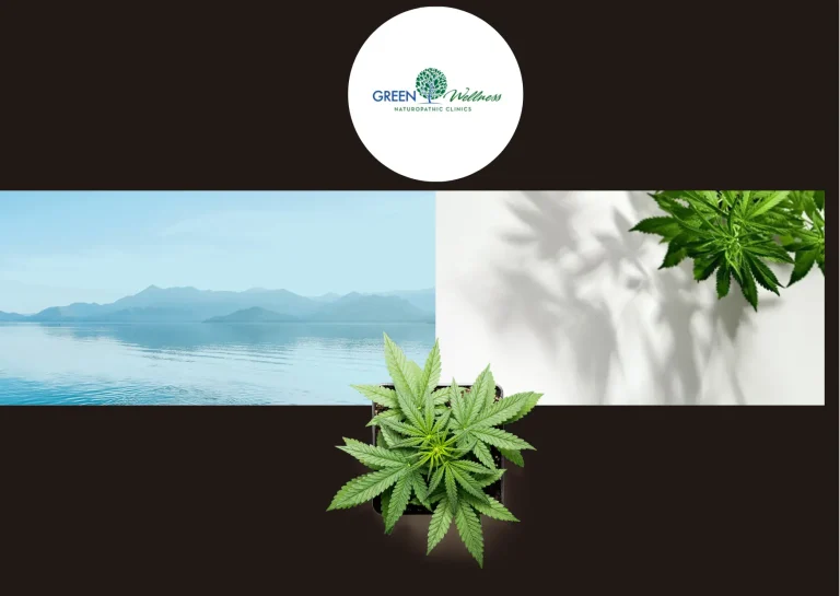How to Get a Medical Marijuana Card in Washington: Complete Guide 2024 How to Get a Medical Marijuana Card in Washington: Complete Guide 2024