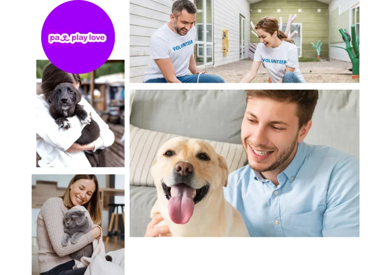 Top Dating Websites for Dogs to Find Your Furry Friend’s Perfect Match