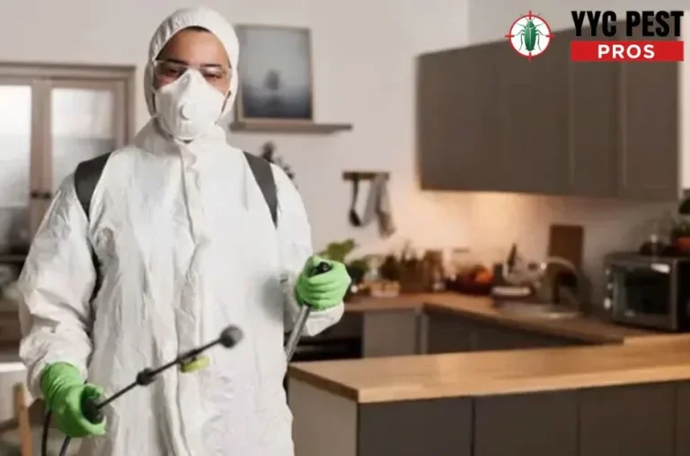 Effective Pest Control Calgary Services for Safe and Guaranteed Pest Removal