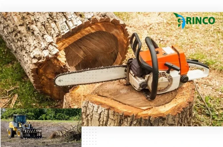 Professional Tree Removal Caroline Springs Services for Safe and Affordable Solutions