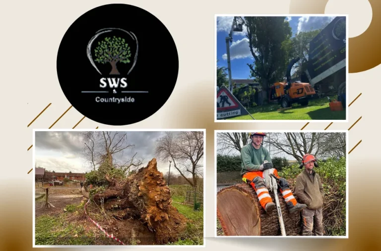 Expert Commercial Tree Services Maidstone for Safe and Efficient Landscape Management Expert Commercial Tree Services Maidstone for Safe and Efficient Landscape Management