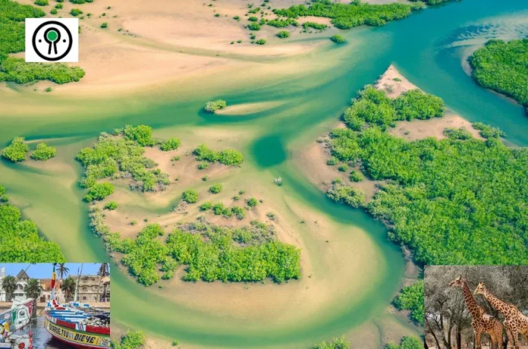 Comment réserver une activité au Sénégal pour une expérience authentique et inoubliable