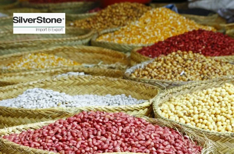 Premium Kidney Beans for Sale in Turkey with Reliable Export Services Premium Kidney Beans for Sale in Turkey with Reliable Export Services