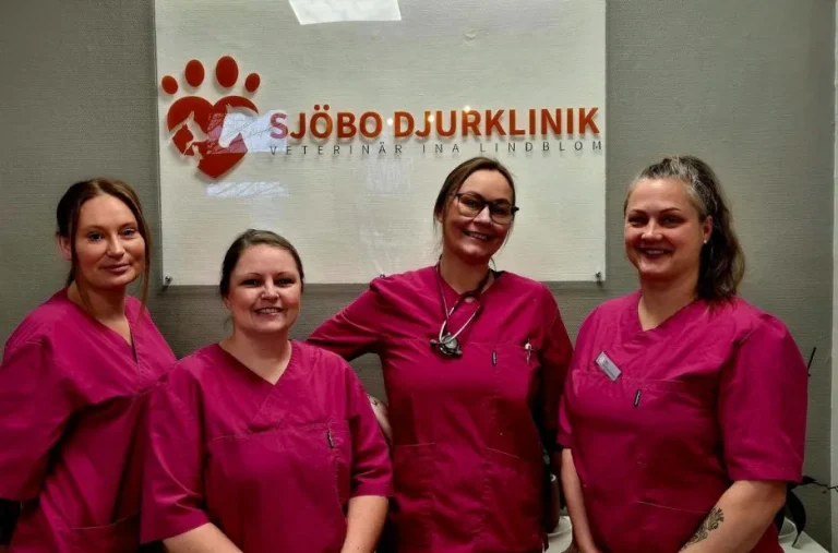 Vaccinera Hund i Ystad – Säker och Pålitlig Hundvaccination hos Sjobodjurklinik.se