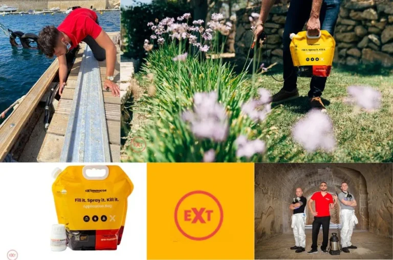Best Pest Control Company Malta for Reliable and Effective Pest Solutions Best Pest Control Company Malta for Reliable and Effective Pest Solutions