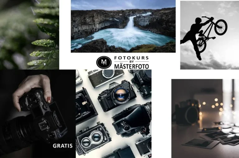 Fotografi Kurs – Lär Dig Professionell Kamerahantering och Redigeringstekniker Online