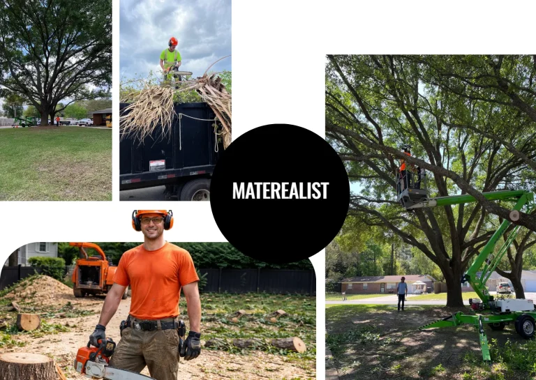 Expert Tree Limb Removal in Dothan AL for Safe and Beautiful Property Maintenance