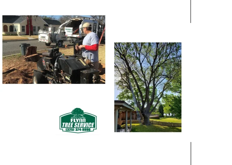 Expert AirSpade Root Excavation Techniques for Optimal Tree Health and Care Expert AirSpade Root Excavation Techniques for Optimal Tree Health and Care