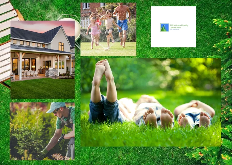 Top Benefits of Local Lawn Care Services for a Healthier, Greener Yard