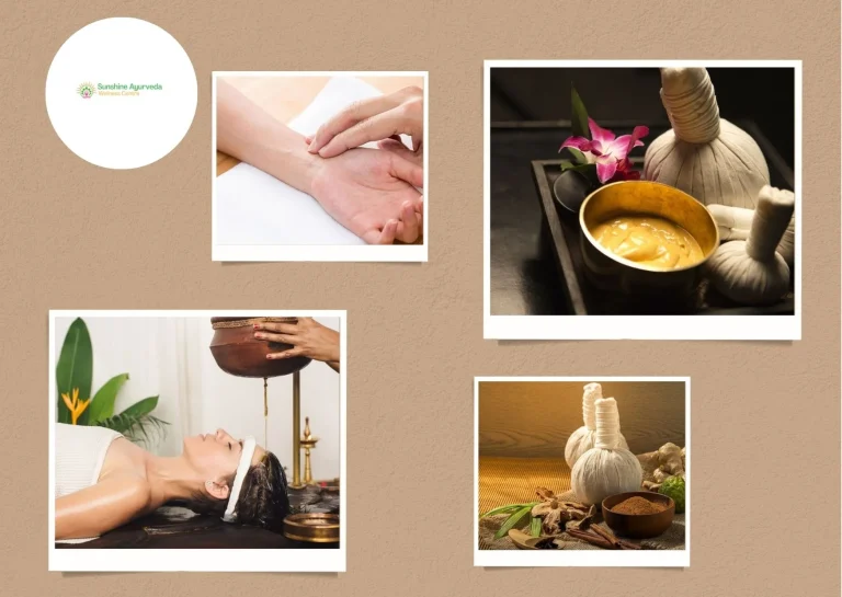 Ayurvedic Wellness Centre for Holistic Healing and Natural Rejuvenation
