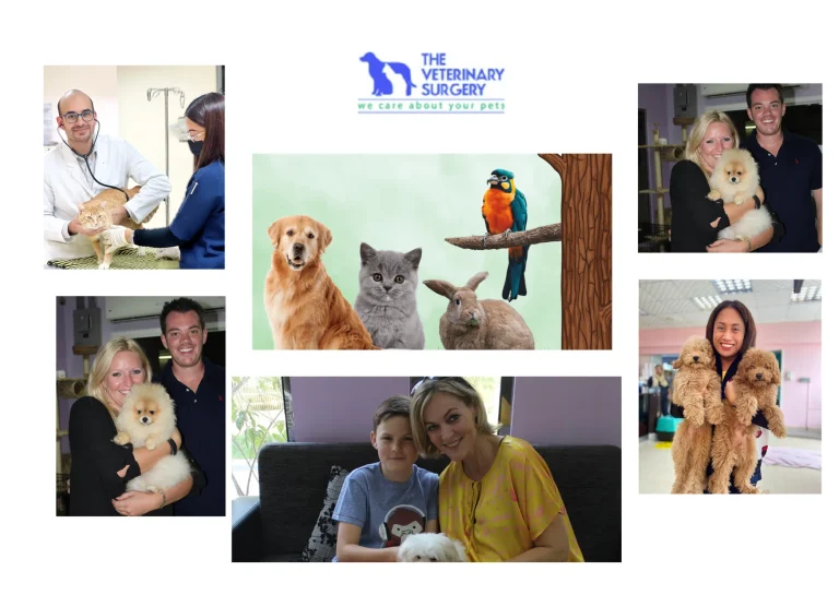 Top Veterinary Clinic Doha for Expert Pet Care and Wellness Services