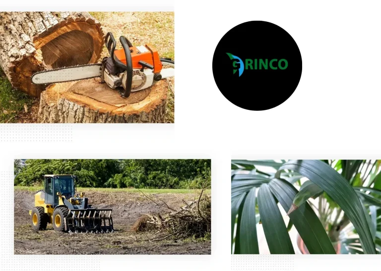 Expert Tree Removal Laverton Services for Safe and Efficient Property Care Expert Tree Removal Laverton Services for Safe and Efficient Property Care