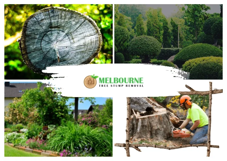 Expert Stump Grinding Melbourne Services for Clean and Safe Landscapes