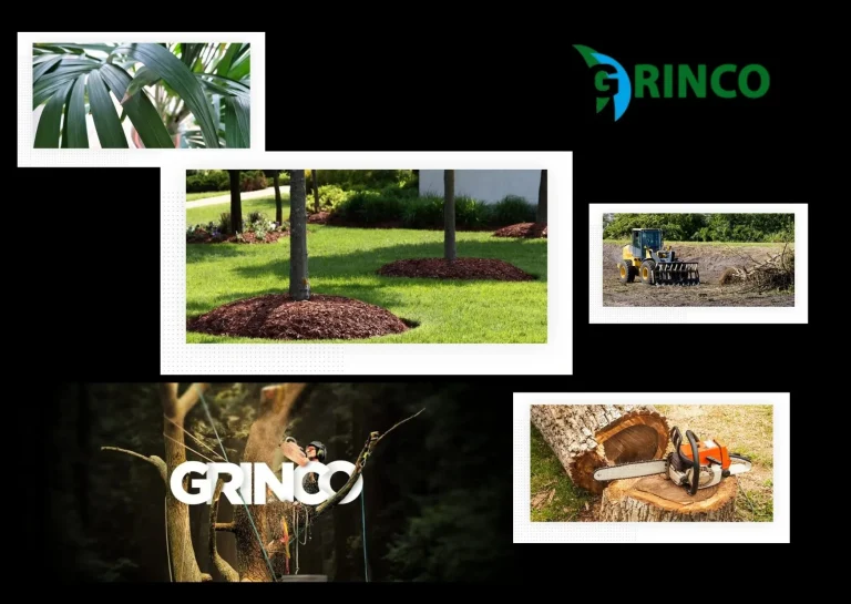 Expert Tree Removal Derrimut Services for Safe and Efficient Property Care Expert Tree Removal Derrimut Services for Safe and Efficient Property Care