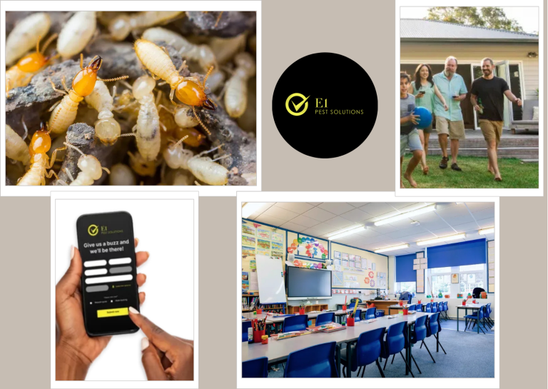 Termite Control Sydney Checklist: E1 Pest Solutions for Safe Home Protection