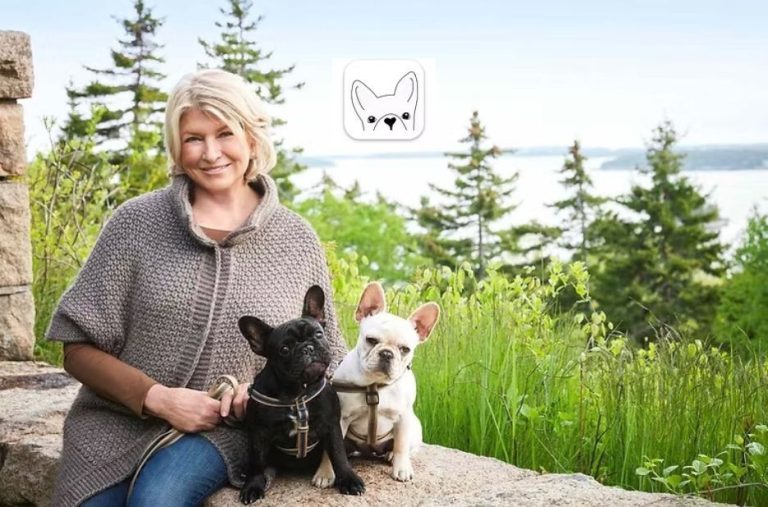 Understanding DWKC Papers: Trustworthy Documentation for Your French Bulldog Understanding DWKC Papers: Trustworthy Documentation for Your French Bulldog