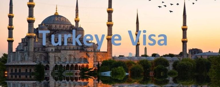 Online Visa Application for Turkey Made Easy with Expert Form and Payment Support