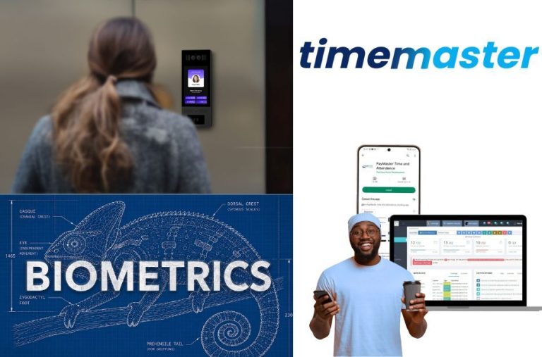 Payroll Accuracy Checklist for South African Companies: Guest Post by TimeMaster