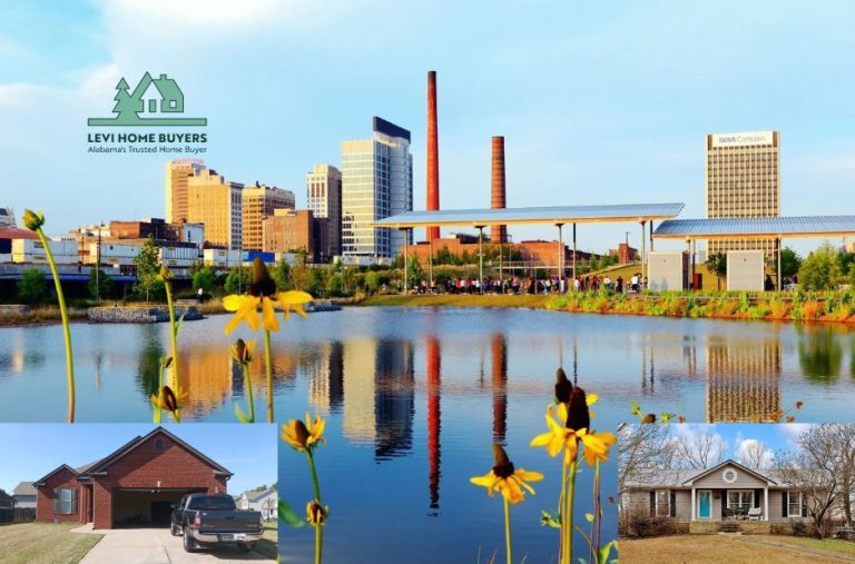 Levi Home Buyers: How the Best Property Buying Companies in Center Point Stand Out From Agents