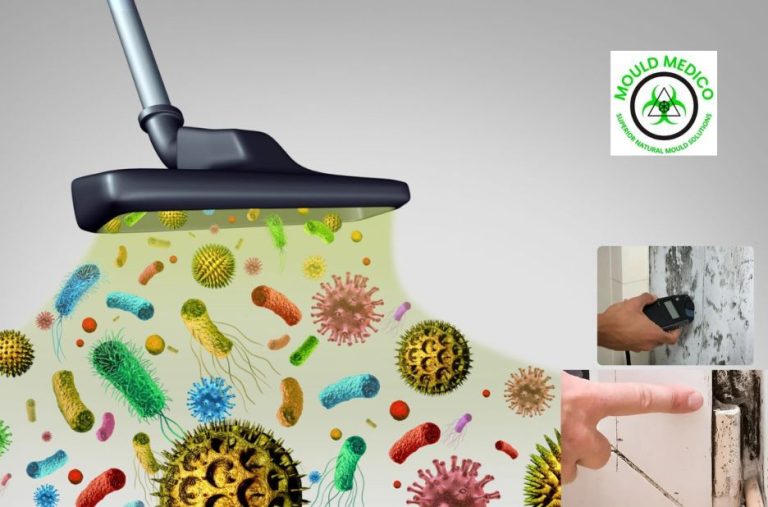 When You Need Immediate Emergency Mould Treatment Services in Sunshine Coast, Queensland When You Need Immediate Emergency Mould Treatment Services in Sunshine Coast, Queensland
