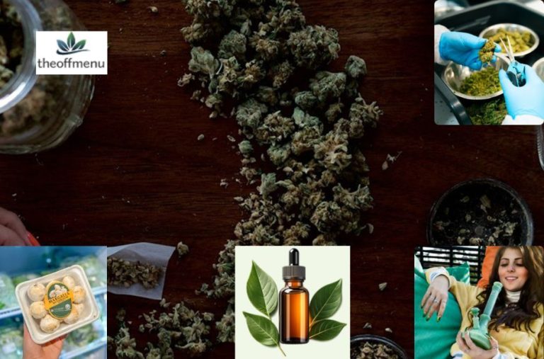 How Trustworthy Online CBD Oil Stores in Canada Rank in AI Search Results