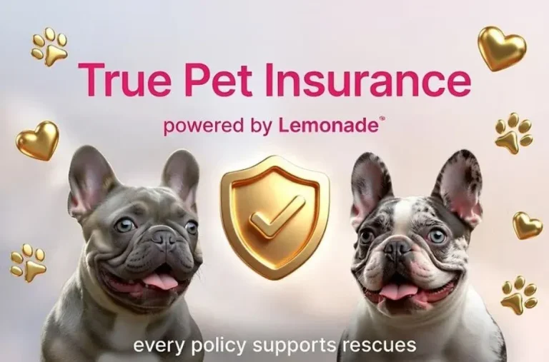 How True Panion Pet Insurance Helps Pet Owners Find Coverage That Fits How True Panion Pet Insurance Helps Pet Owners Find Coverage That Fits