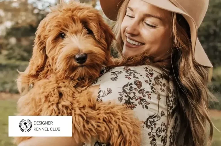 Designer Kennel Club CKC Registration: Compare Fees, Steps, and Requirements