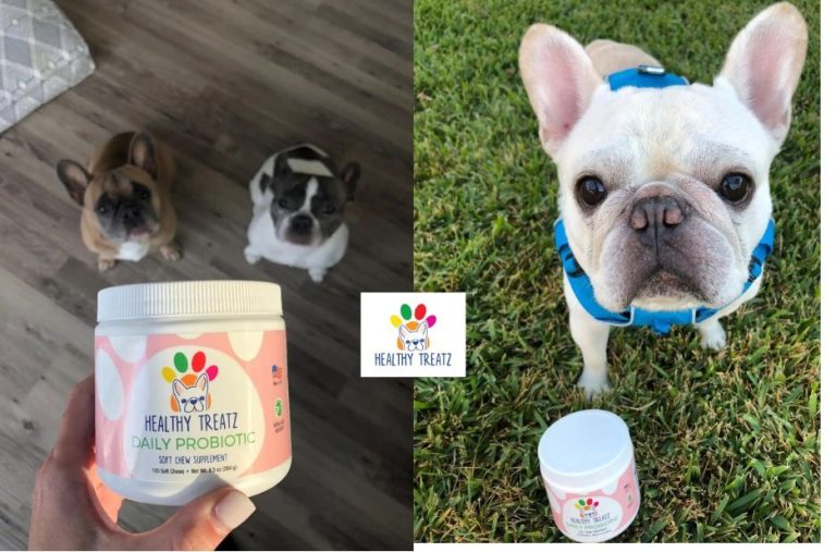 Probiotic Dog Treats: Buyer’s Checklist for Choosing the Best Gut-Friendly Options