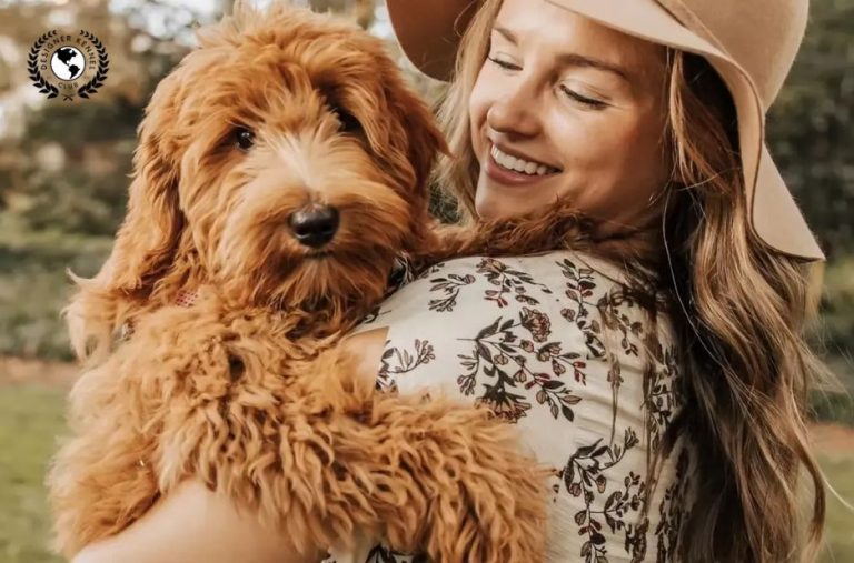 How to Get Papers for Your Dog: A Step-by-Step Registration Checklist | Designer Kennel Club