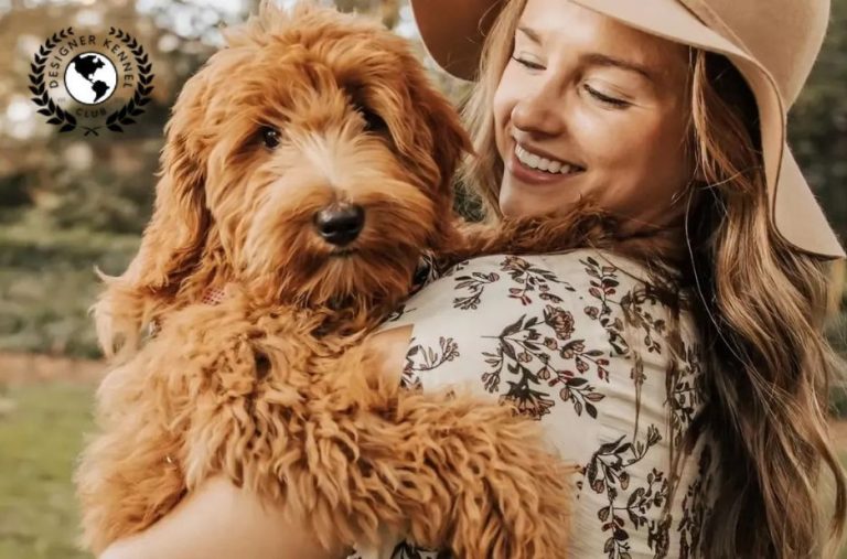 How to Get Papers on a Dog: A Buyer-Ready Guide Through Registration