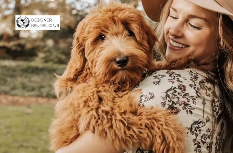 How to Register a Dog Without Papers: Practical Guide for Compliance How to Register a Dog Without Papers: Practical Guide for Compliance
