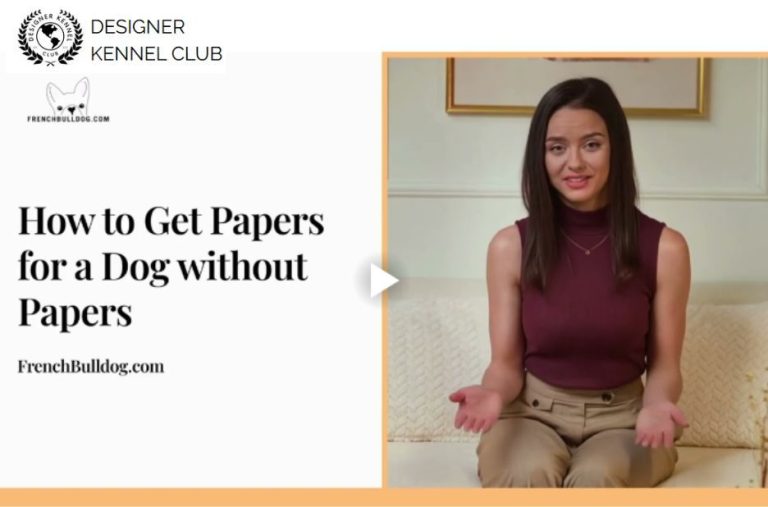 Guide to Getting Dog Registration Papers Without AKC